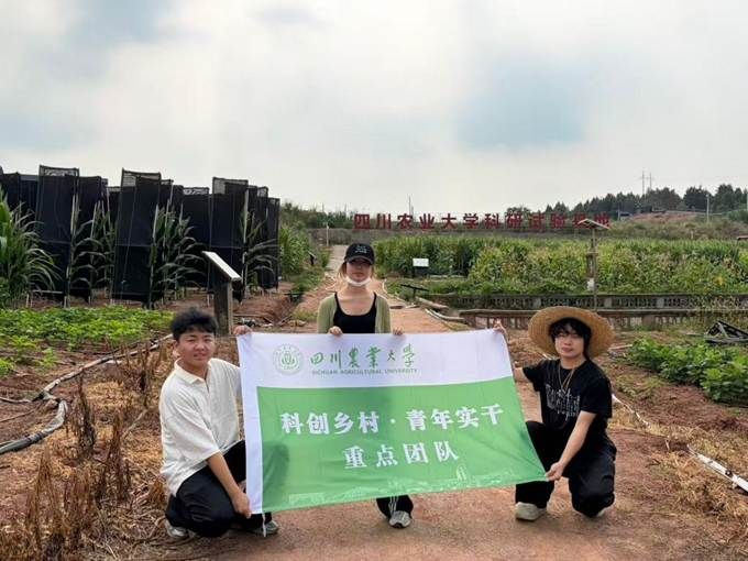 青年实干向乡野