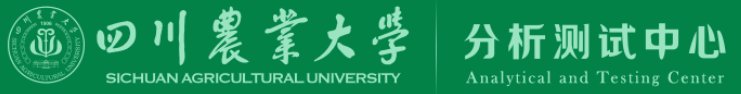 星空电子app官方入口