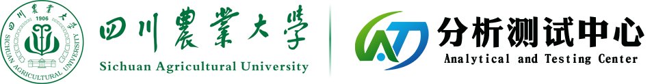 星空电子app官方入口