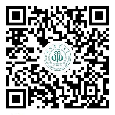 若需了解「星空app官网登录入口安全