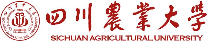星空电子app官方入口