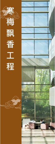 实用新型专利2项