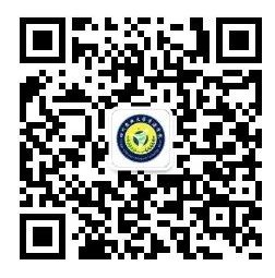 text here
